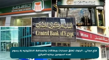 فتح مجاني.. البنوك تطلق حسابات وبطاقات والمحافظ الإلكترونية بلا رسوم لمدة أسبوعين برعاية المركزي